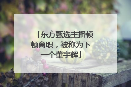东方甄选主播顿顿离职，被称为下一个董宇辉