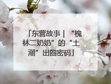 东营故事｜“槐林二奶奶”的“土潮”出圈密码