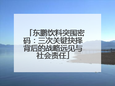 东鹏饮料突围密码：三次关键抉择背后的战略远见与社会责任
