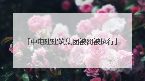 中电建建筑集团被罚被执行