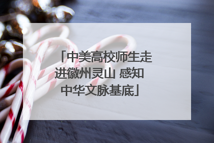 中美高校师生走进徽州灵山 感知中华文脉基底