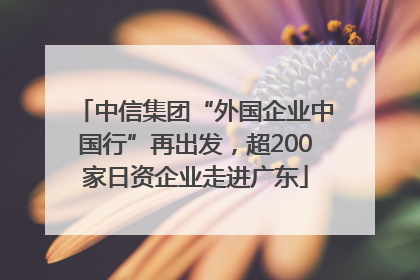 中信集团“外国企业中国行”再出发，超200家日资企业走进广东