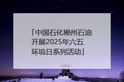 中国石化郴州石油开展2025年六五环境日系列活动