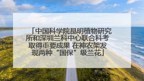 中国科学院昆明植物研究所和深圳兰科中心联合科考取得重要成果 在神农架发现两种“国保”级兰花