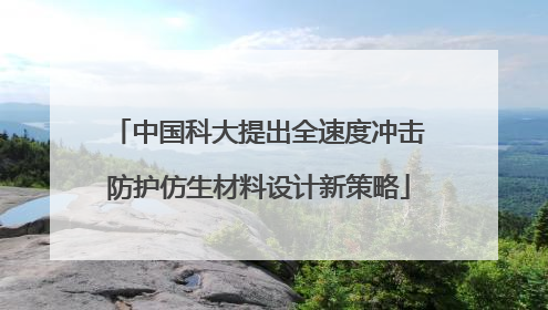 中国科大提出全速度冲击防护仿生材料设计新策略