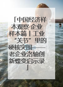 中国经济样本观察·企业样本篇丨工业“关节”里的硬核突围——老企业洛轴创新蝶变启示录