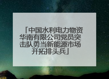 中国水利电力物资华南有限公司党员突击队勇当新能源市场开拓排头兵
