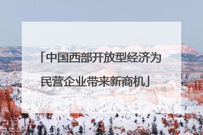 中国西部开放型经济为民营企业带来新商机