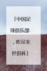 中国足球俱乐部，咋没来世俱杯