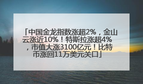 中国金龙指数涨超2%，金山云涨近10%！特斯拉涨超4%，市值大涨3100亿元！比特币涨回11万美元关口