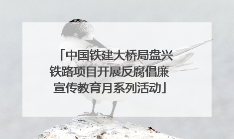中国铁建大桥局盘兴铁路项目开展反腐倡廉宣传教育月系列活动