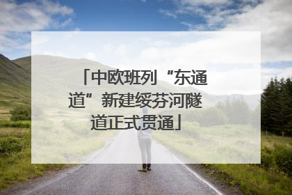 中欧班列“东通道”新建绥芬河隧道正式贯通