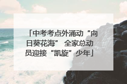中考考点外涌动“向日葵花海” 全家总动员迎接“凯旋”少年