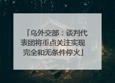 乌外交部：谈判代表团将重点关注实现完全和无条件停火