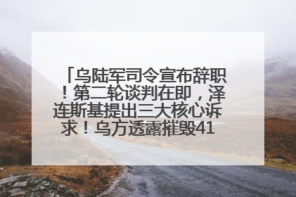 乌陆军司令宣布辞职！第二轮谈判在即，泽连斯基提出三大核心诉求！乌方透露摧毁41架俄战略轰炸机