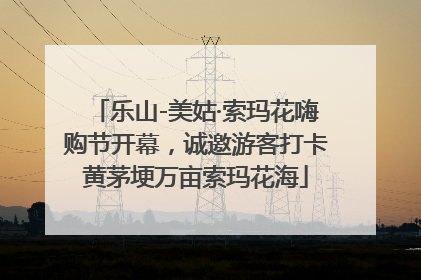 乐山-美姑·索玛花嗨购节开幕，诚邀游客打卡黄茅埂万亩索玛花海
