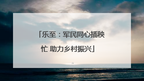 乐至：军民同心插秧忙 助力乡村振兴