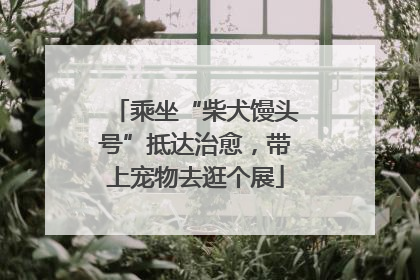 乘坐“柴犬馒头号”抵达治愈，带上宠物去逛个展