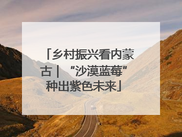 乡村振兴看内蒙古｜“沙漠蓝莓”种出紫色未来