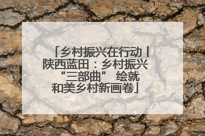 乡村振兴在行动丨陕西蓝田：乡村振兴 “三部曲” 绘就和美乡村新画卷