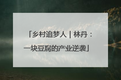 乡村追梦人｜林丹：一块豆腐的产业逆袭