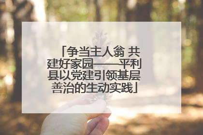 争当主人翁 共建好家园——平利县以党建引领基层善治的生动实践
