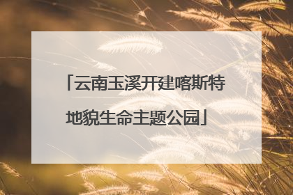 云南玉溪开建喀斯特地貌生命主题公园