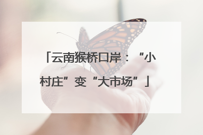 云南猴桥口岸：“小村庄”变“大市场”