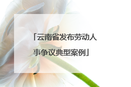 云南省发布劳动人事争议典型案例