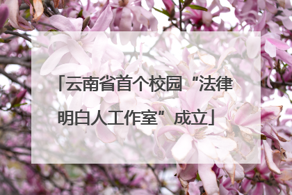 云南省首个校园“法律明白人工作室”成立