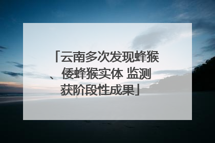 云南多次发现蜂猴、倭蜂猴实体 监测获阶段性成果