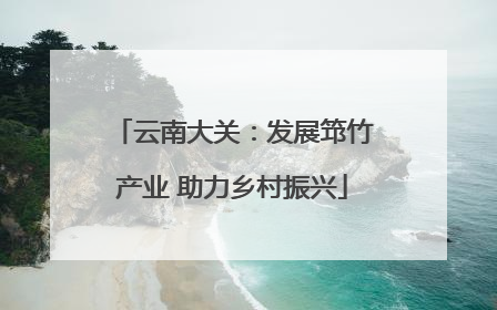 云南大关：发展筇竹产业 助力乡村振兴