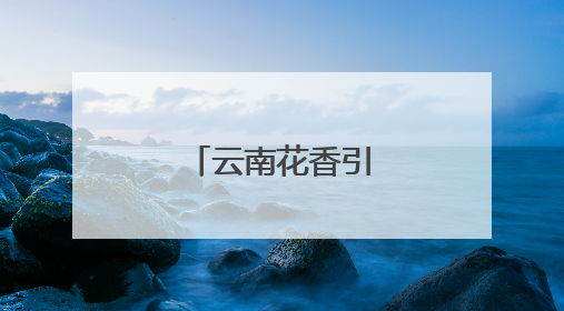 云南花香引四方游客