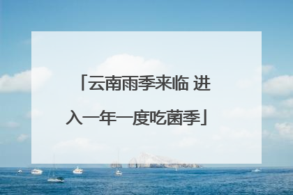 云南雨季来临 进入一年一度吃菌季