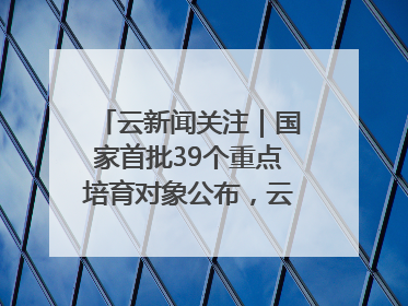 云新闻关注｜国家首批39个重点培育对象公布，云南有3个