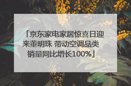 京东家电家居惊喜日迎来董明珠 带动空调品类销量同比增长100%