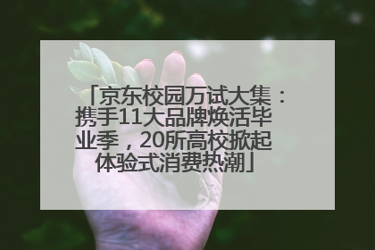 京东校园万试大集：携手11大品牌焕活毕业季，20所高校掀起体验式消费热潮