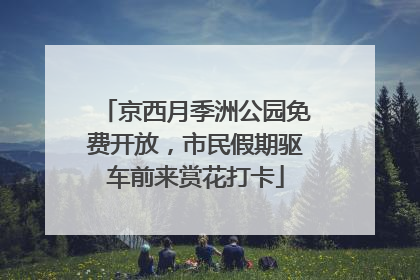 京西月季洲公园免费开放，市民假期驱车前来赏花打卡