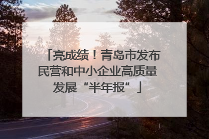 亮成绩！青岛市发布民营和中小企业高质量发展“半年报”