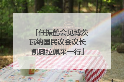 任振鹤会见博茨瓦纳国民议会议长凯奥拉佩采一行
