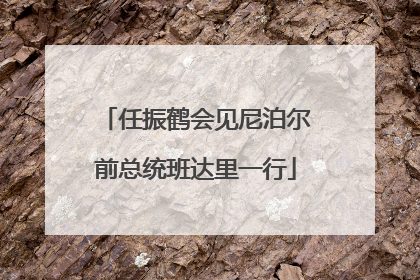 任振鹤会见尼泊尔前总统班达里一行