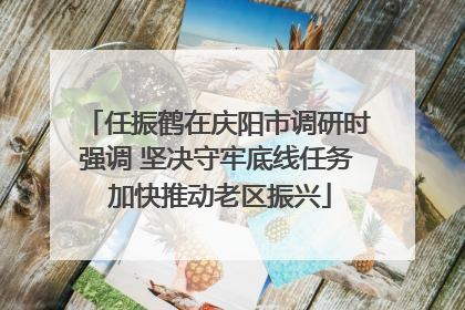 任振鹤在庆阳市调研时强调 坚决守牢底线任务 加快推动老区振兴