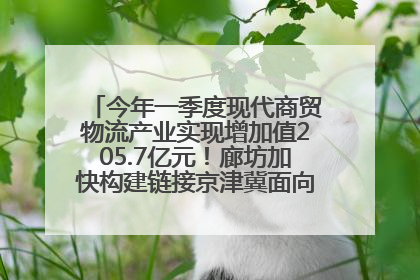 今年一季度现代商贸物流产业实现增加值205.7亿元！廊坊加快构建链接京津冀面向全世界的物流通道