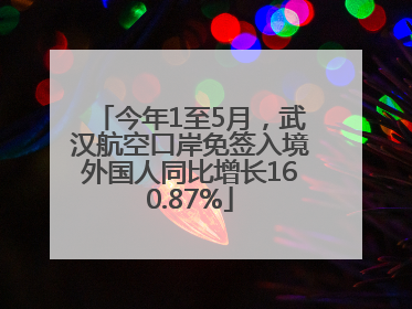 今年1至5月，武汉航空口岸免签入境外国人同比增长160.87%