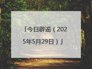 今日辟谣（2025年5月29日）