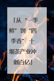 从“一季鲜”到“四季香” 十堰茶产业冲刺百亿