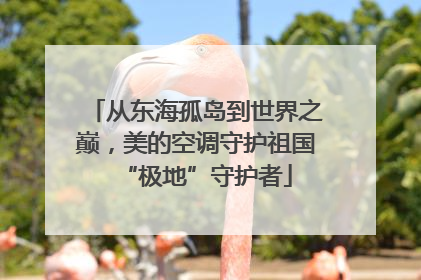 从东海孤岛到世界之巅，美的空调守护祖国“极地”守护者
