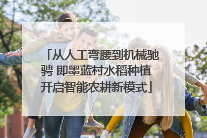 从人工弯腰到机械驰骋 即墨蓝村水稻种植开启智能农耕新模式