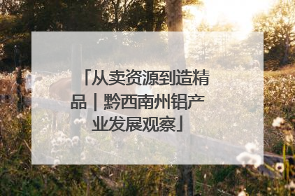 从卖资源到造精品｜黔西南州铝产业发展观察