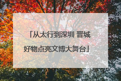 从太行到深圳 晋城好物点亮文博大舞台